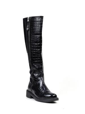 Bota Dona Cano Alto