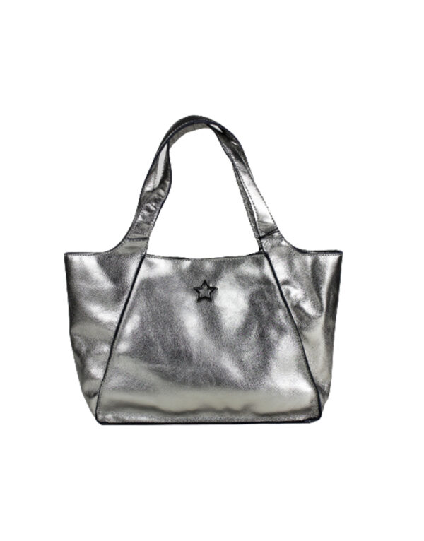 CABSILVER x