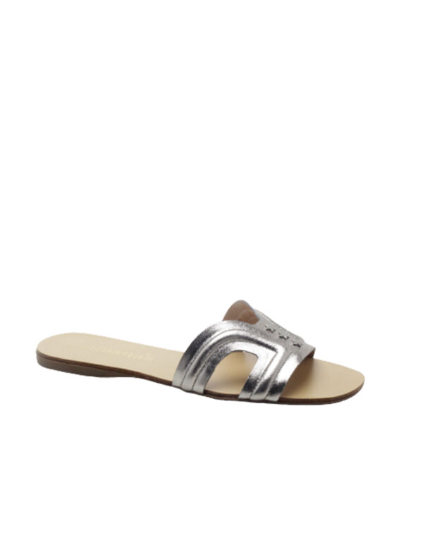 FLORSILVER x