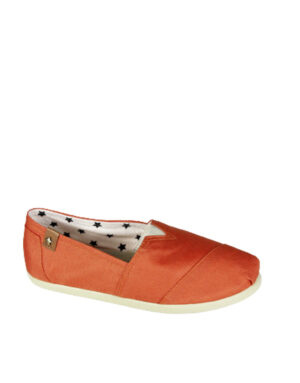 HOLLYORANGE x